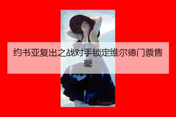 yue-shu-ya-fu-chu-zhi-zhan-dui-shou-suo-ding-wei-er-de-men-piao-shou-qing-2-591.jpg